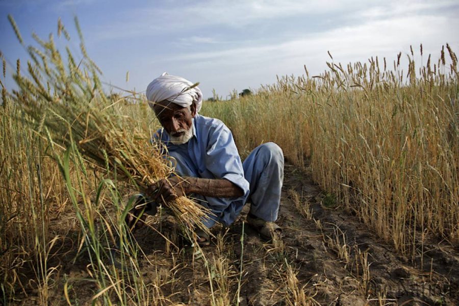 Countdown to catastrophe : Government faces food insecurity as a major challenge