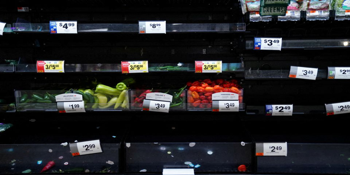 grocery